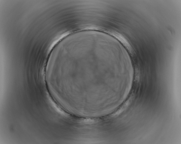 X0000113370806200910131320