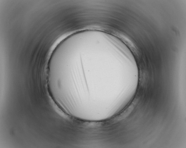 X0000113370808200910131319