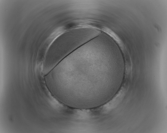 X0000113370809200910131319