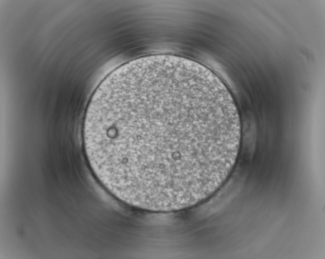 X0000113370810200910131319