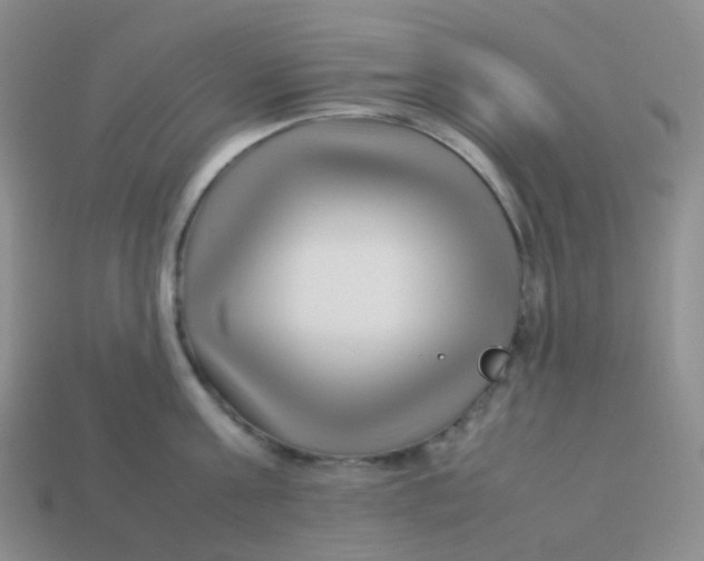 X0000113370811200910131319