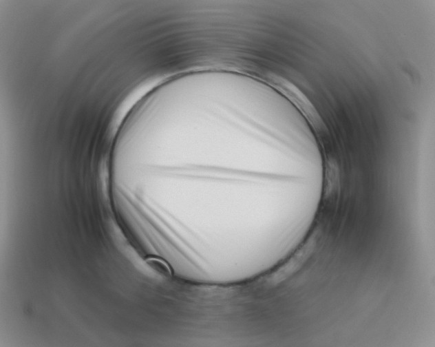 X0000113370812200910131319