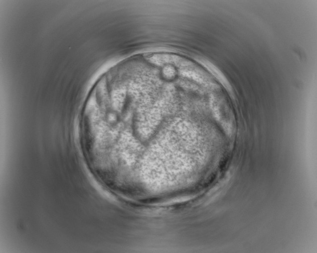 X0000113370813200910131319
