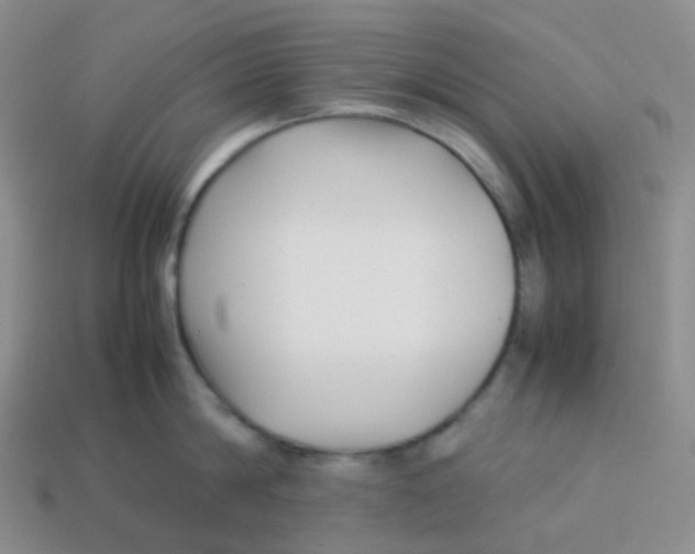 X0000113370814200910131319