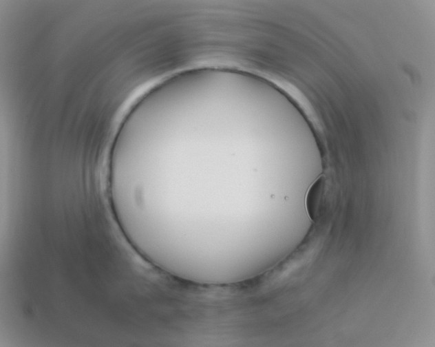 X0000113370815200910131319