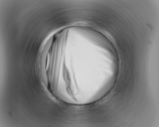X0000113370816200910131319
