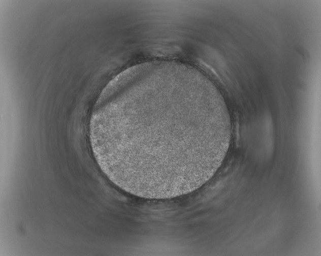 X0000113370817200910131319