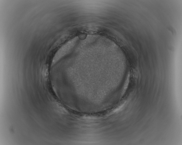 X0000113370818200910131319