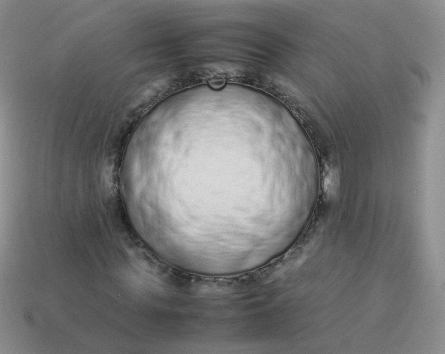 X0000113370819200910131319