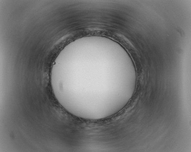 X0000113370821200910131319