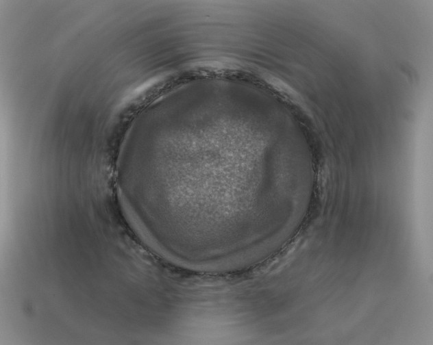 X0000113370822200910131319