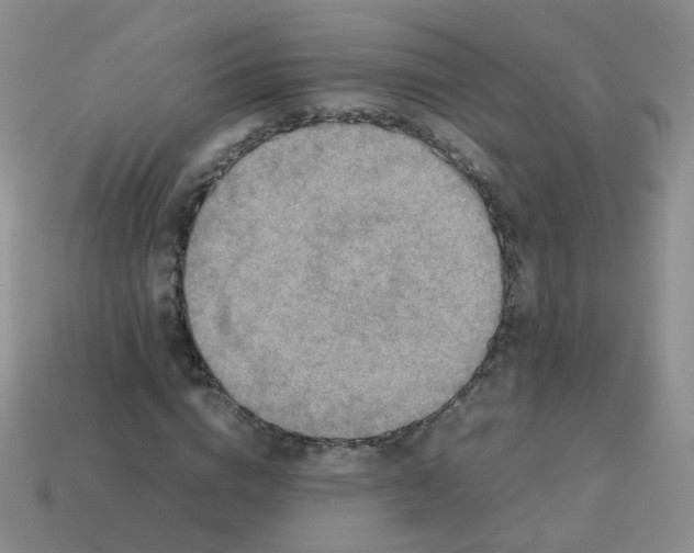 X0000113370824200910131319