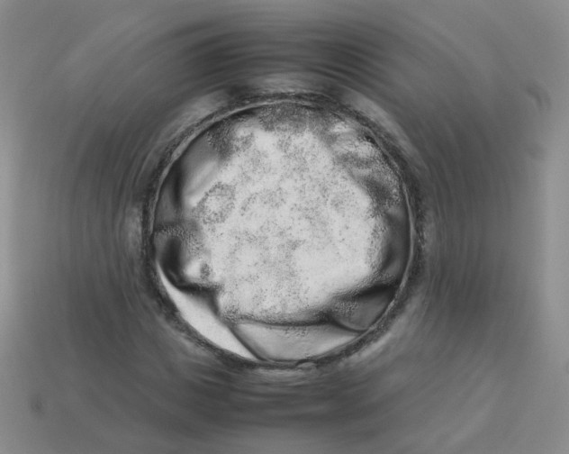 X0000113370825200910131319