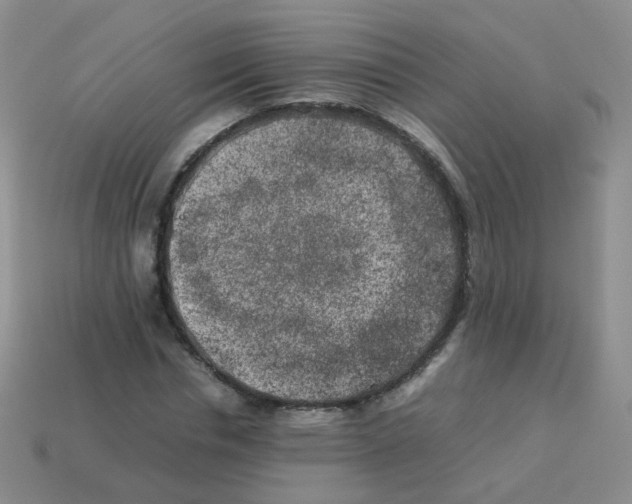 X0000113370826200910131319
