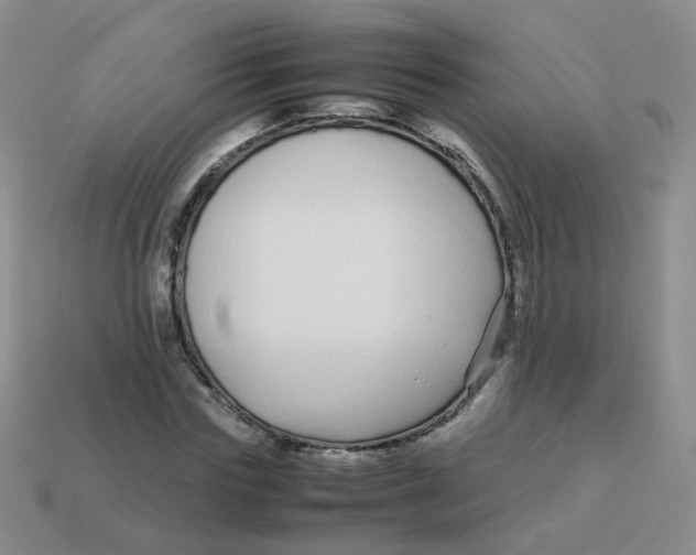 X0000113370827200910131319