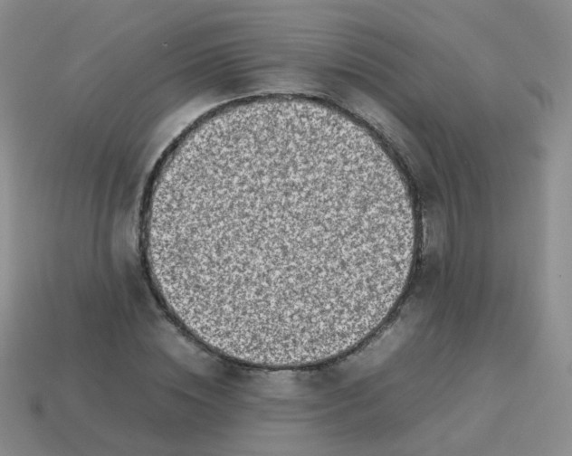 X0000113370828200910131319