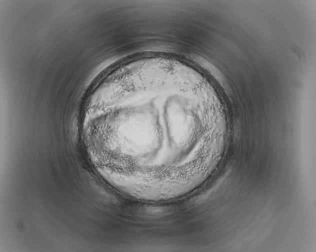X0000113370829200910131319