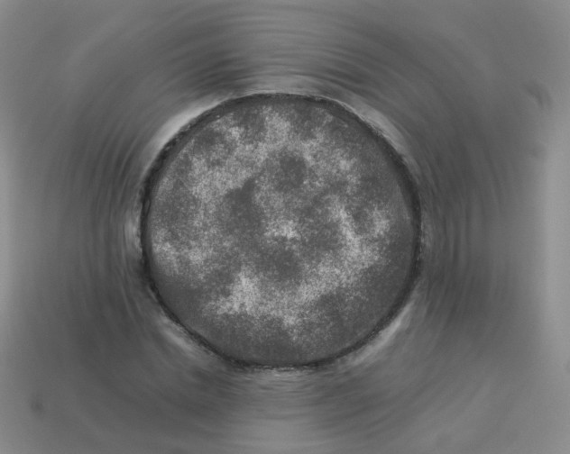 X0000113370830200910131319