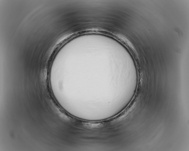 X0000113370831200910131319