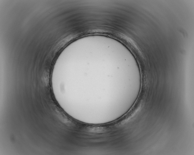 X0000113370833200910131319