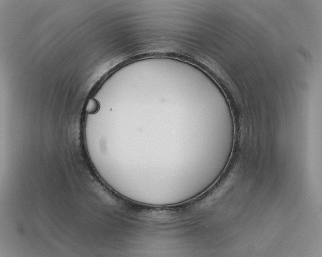 X0000113370834200910131319