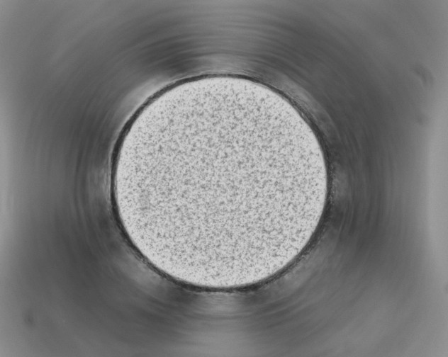 X0000113370836200910131319
