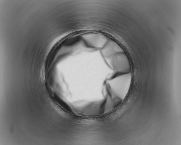 X0000113370838200910131319