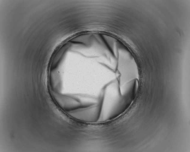 X0000113370840200910131319