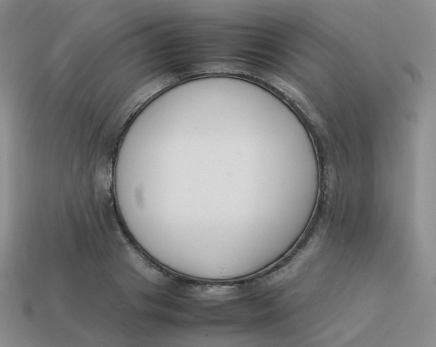 X0000113370841200910131319