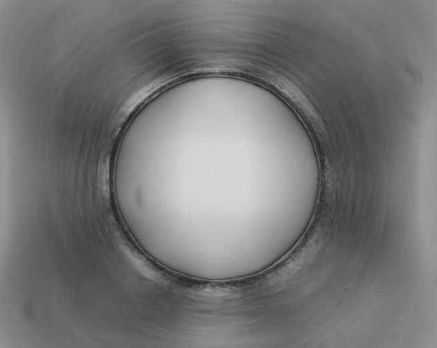 X0000113370842200910131319