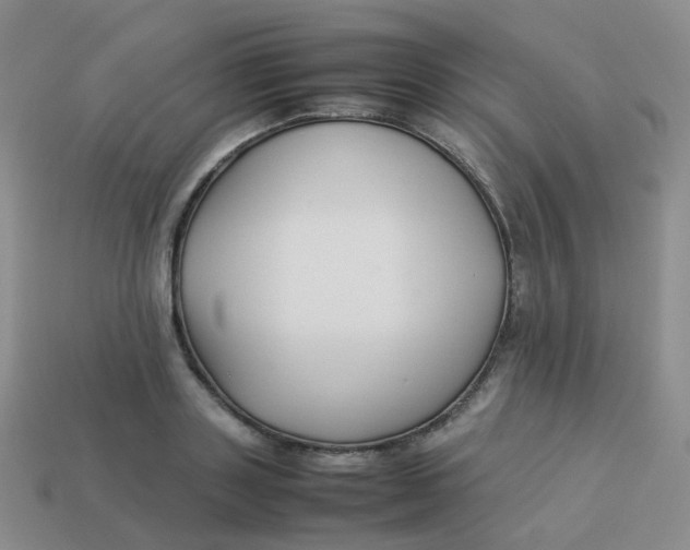 X0000113370843200910131319