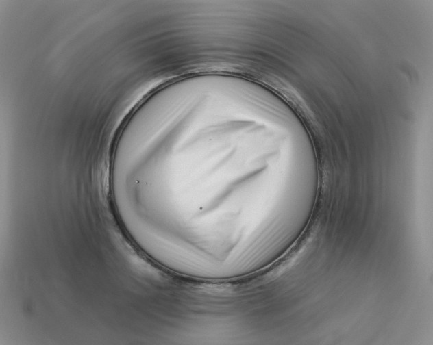 X0000113370844200910131319