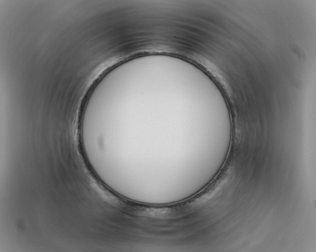 X0000113370845200910131319
