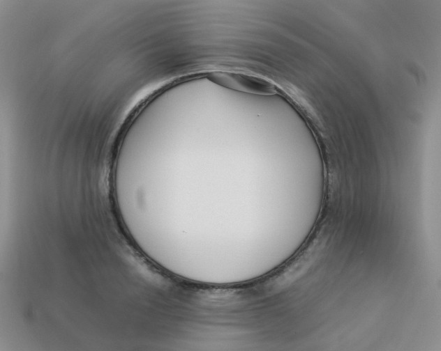 X0000113370846200910131319