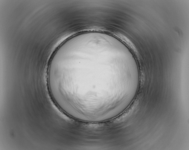 X0000113370847200910131319
