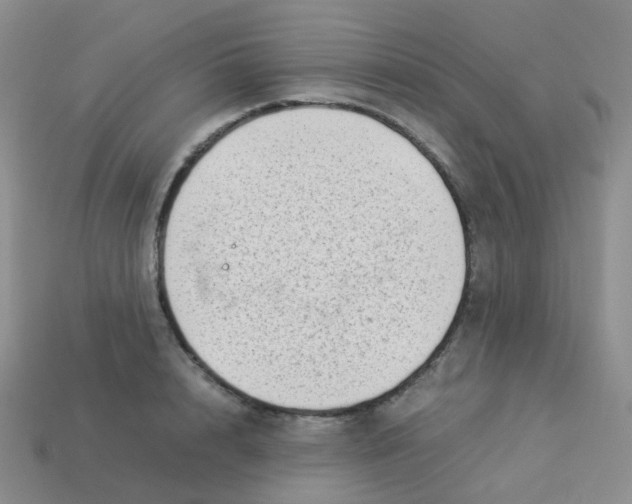 X0000113370848200910131319