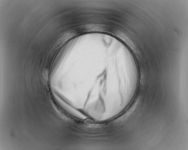 X0000113370849200910131319
