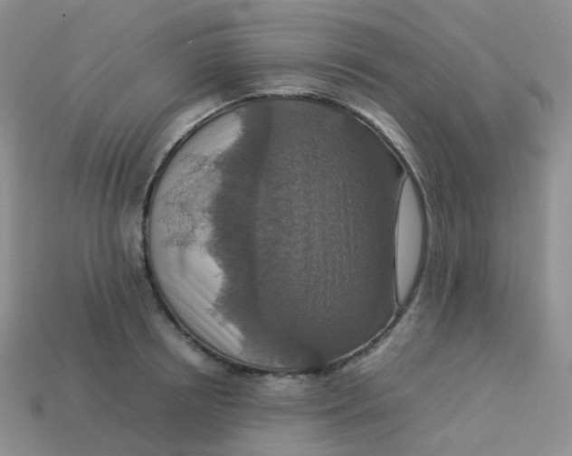 X0000113370850200910131319