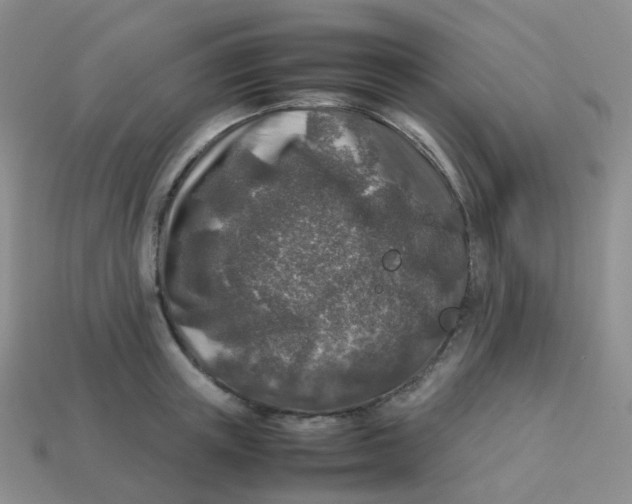 X0000113370851200910131319
