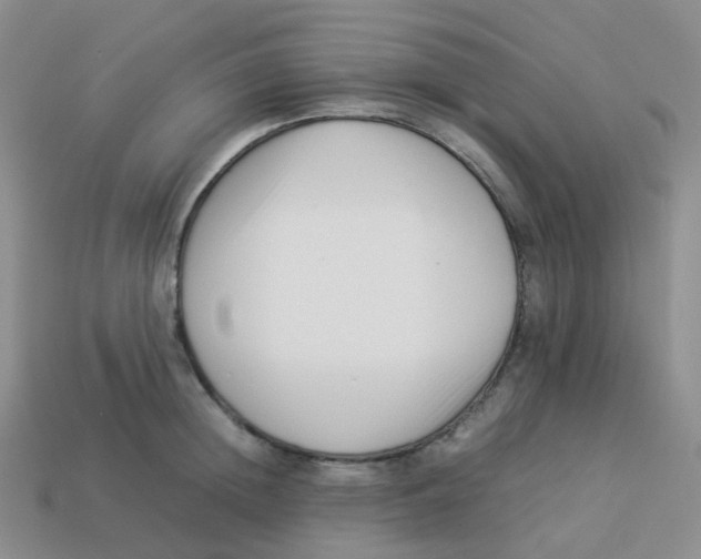 X0000113370852200910131319