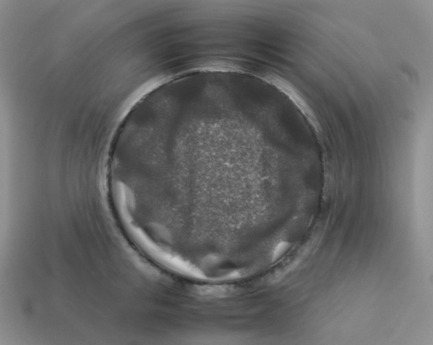 X0000113370853200910131319