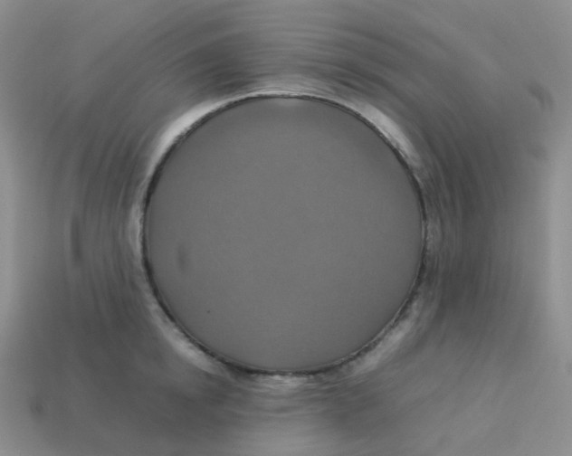 X0000113370854200910131319