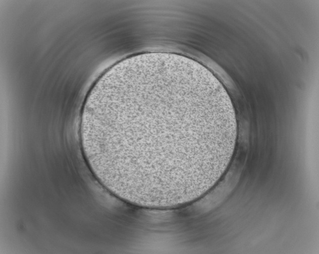 X0000113370856200910131319