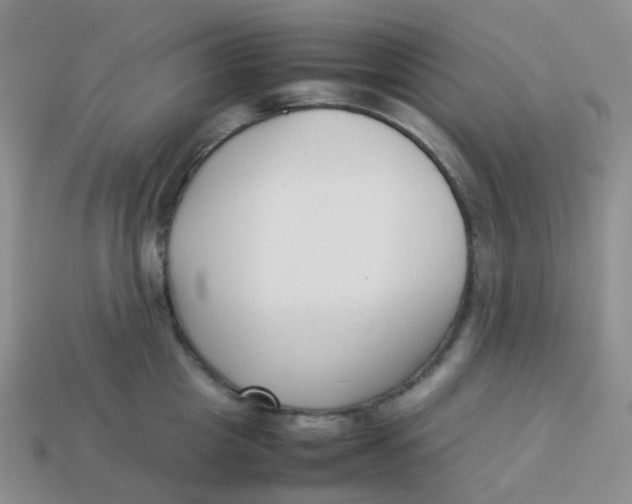 X0000113370857200910131319