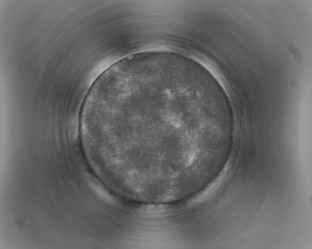 X0000113370858200910131319