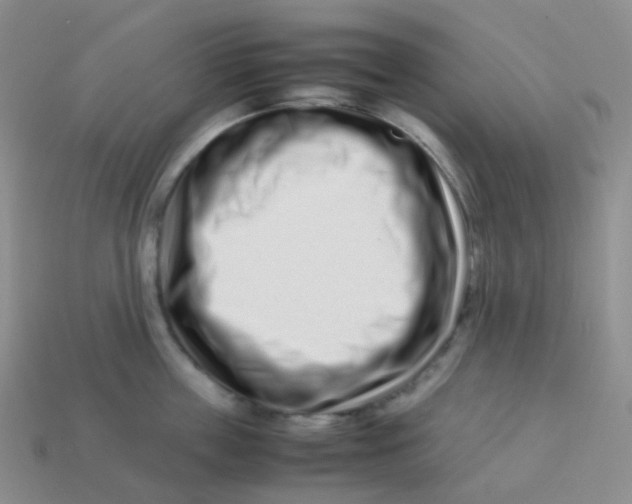 X0000113370859200910131319