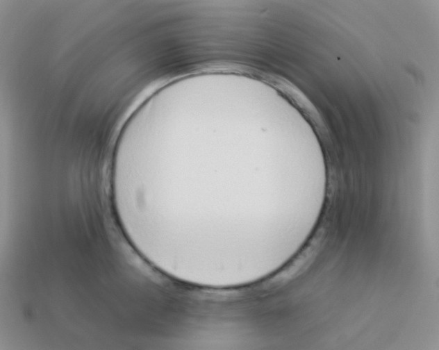 X0000113370860200910131319