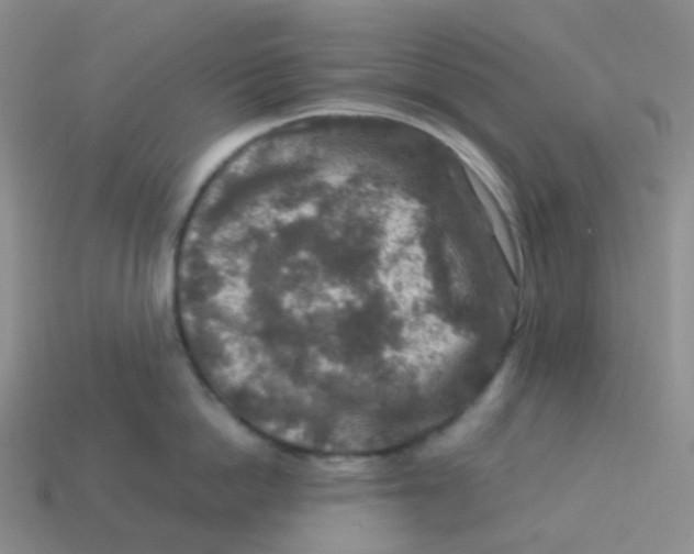 X0000113370862200910131319