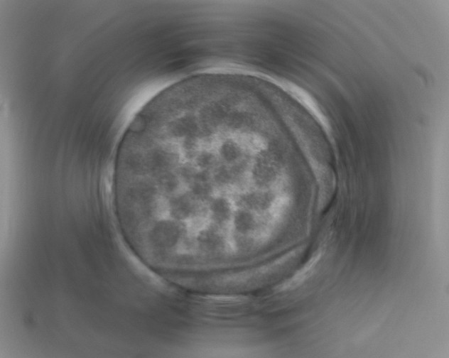 X0000113370863200910131319