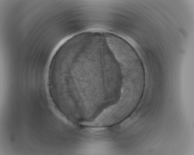 X0000113370864200910131319